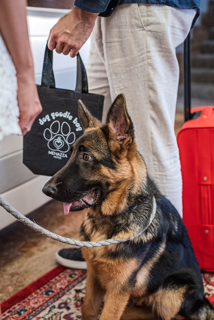 kit di benvenuto dog goodie bag per i cani dell’hotel Cesare Augustus