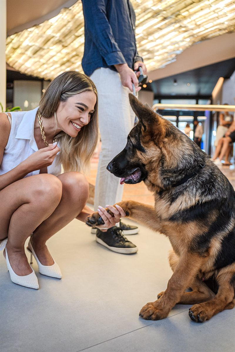 vacanza con il cane a Jesolo: gioco nella hall dell’hotel